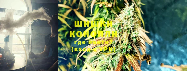 хмурый Дмитровск