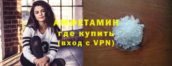 гашик Дмитров