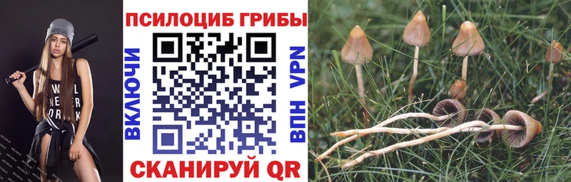 купить hydra ССЫЛКА Псилоцибиновые грибы GOLDEN TEACHER Бутурлиновка