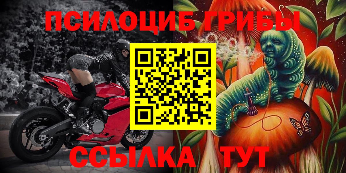 как найти   Вход с VPN  Бутурлиновка  Галлюциногенные грибы Psilocybe 